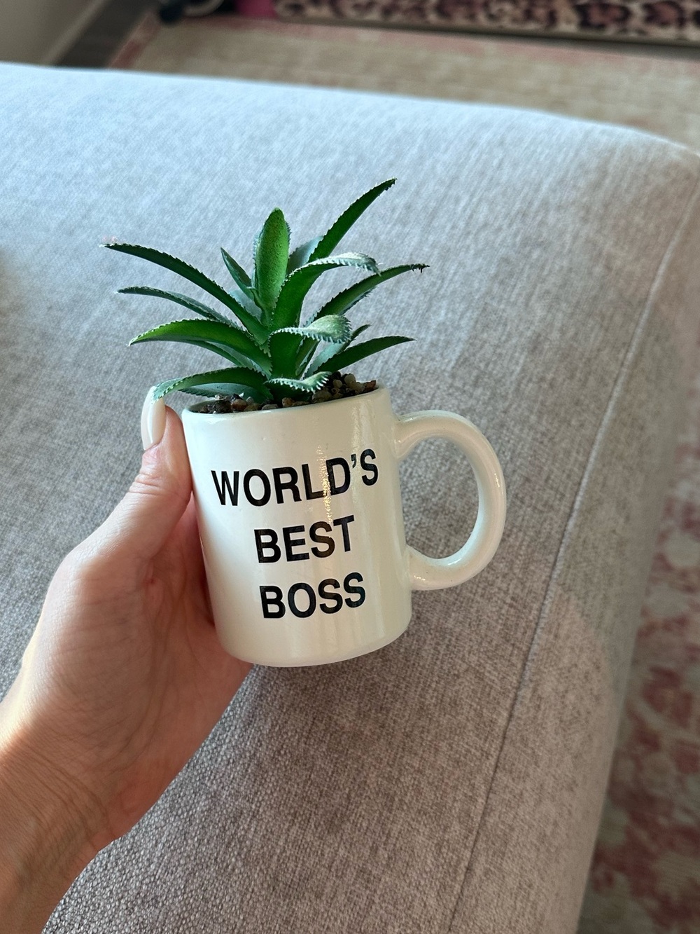 Francesca's The Office-White 'World's Best Boss' Ceramic Mug Planter
